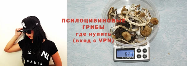 mdma Каменка