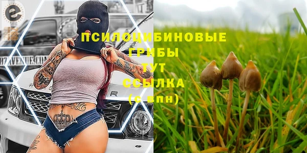 амф Каменск-Шахтинский
