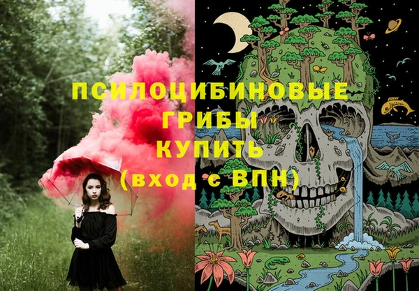 амф Каменск-Шахтинский