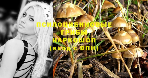 амф Каменск-Шахтинский