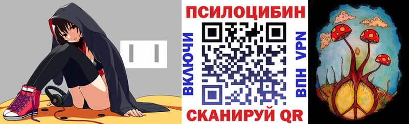 Купить  Верея  Псилоцибиновые грибы ЛСД 